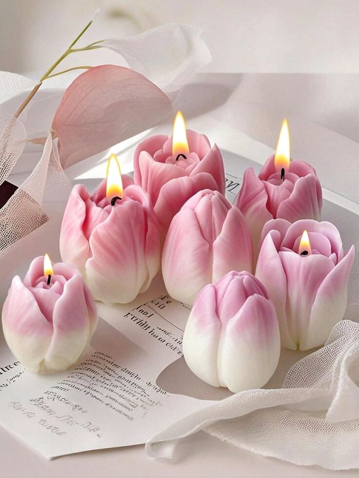 Mini Tulip (Single)